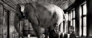 elephant-in-the-room