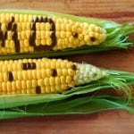 Not Allowed In Other Countries: US-grown GMO Corn and Soy Imports – Considered Unsafe to Eat