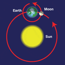 Image result for earth sun orbit