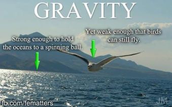gravityy