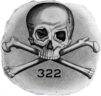 Image result for skull and bones