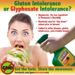 Glyphosate: We are Being Poisoned by Weed Killers