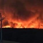 Australia Fires: What is Really Happening