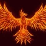 Video Series Part 1: The Phoenix, DNA & the Jab