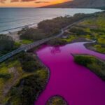 Maui Lake Turns Pink/Magenta | A Public Ritual?